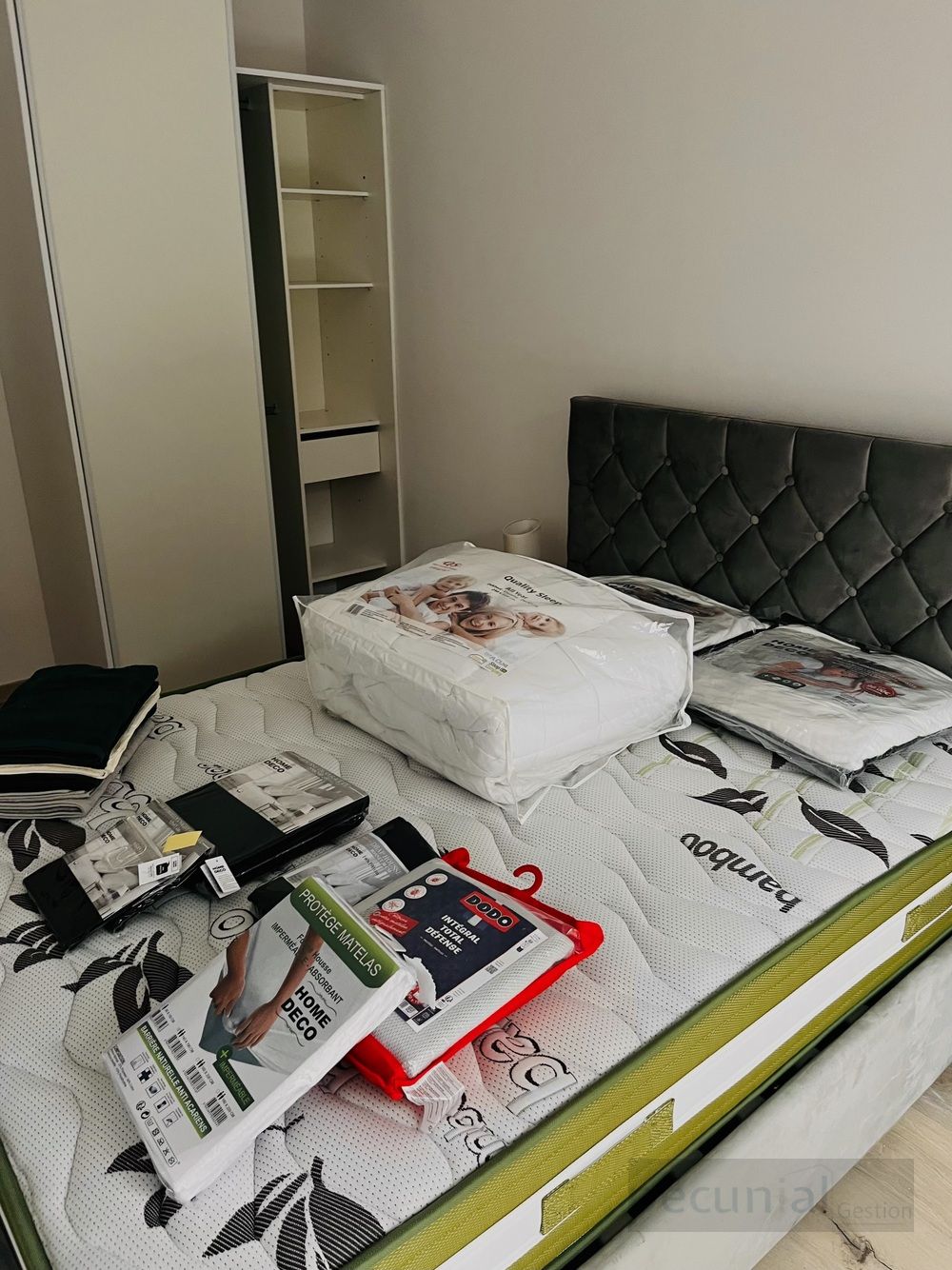Property view 5