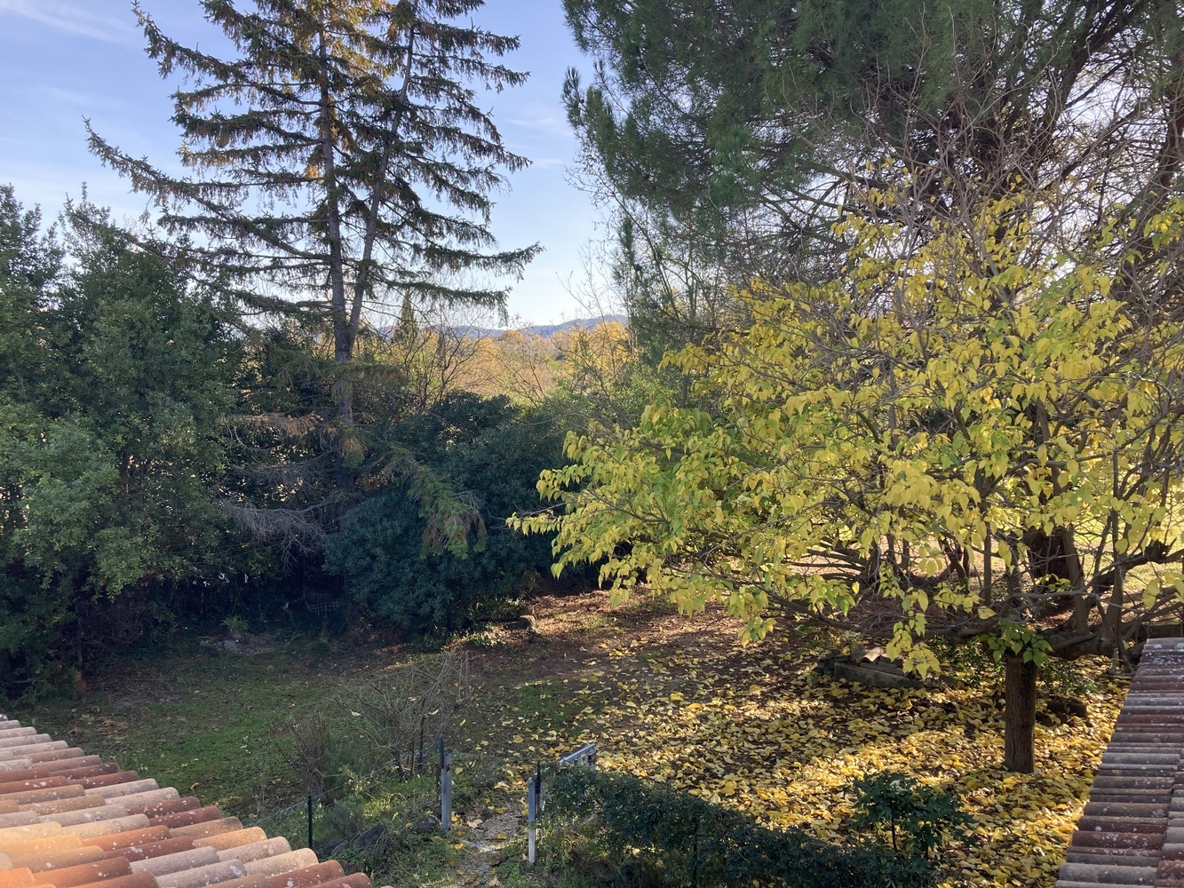 Property view 5