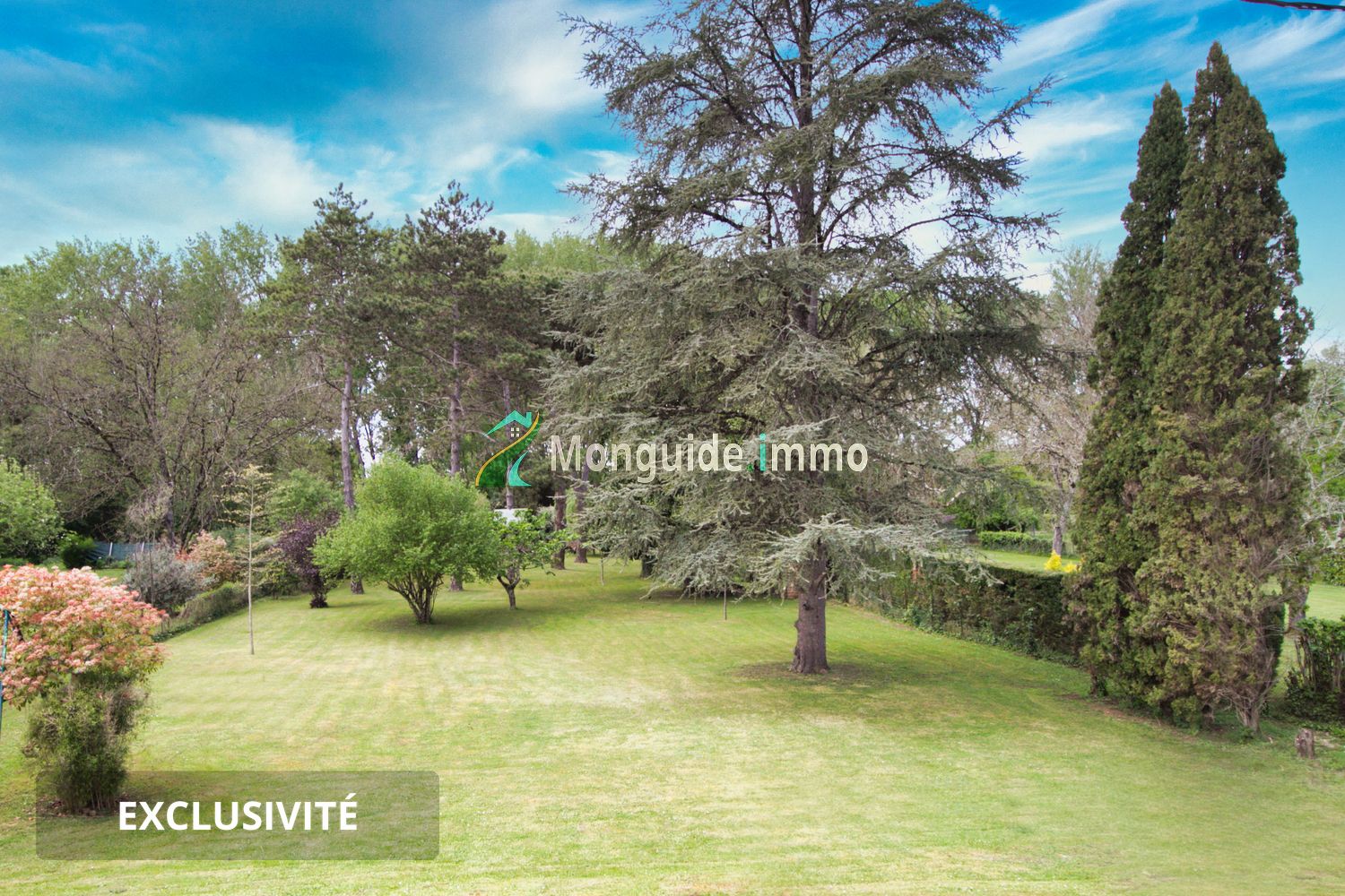 Property view 4