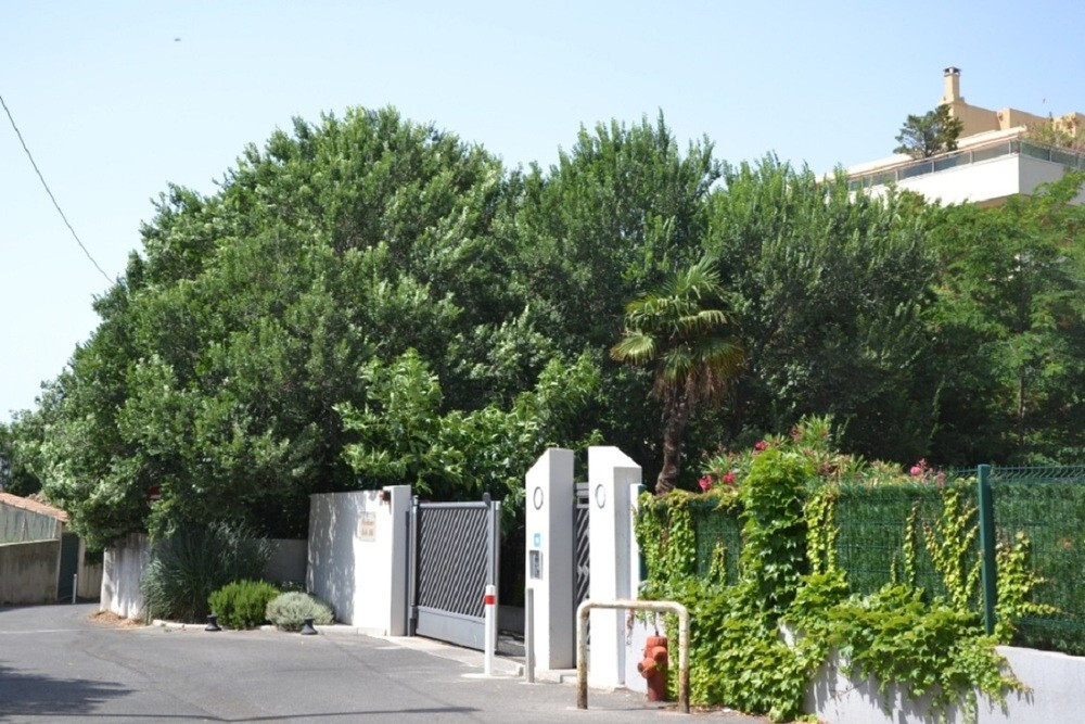 Property view 3