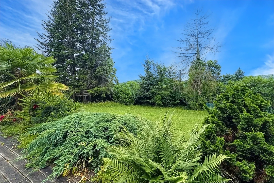 Property view 3