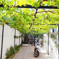 Image du bien en visite référence 67225